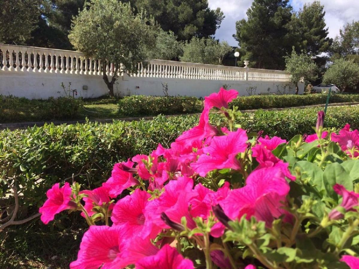 Villa Nunziatella Badia Trappeto  Esterno foto